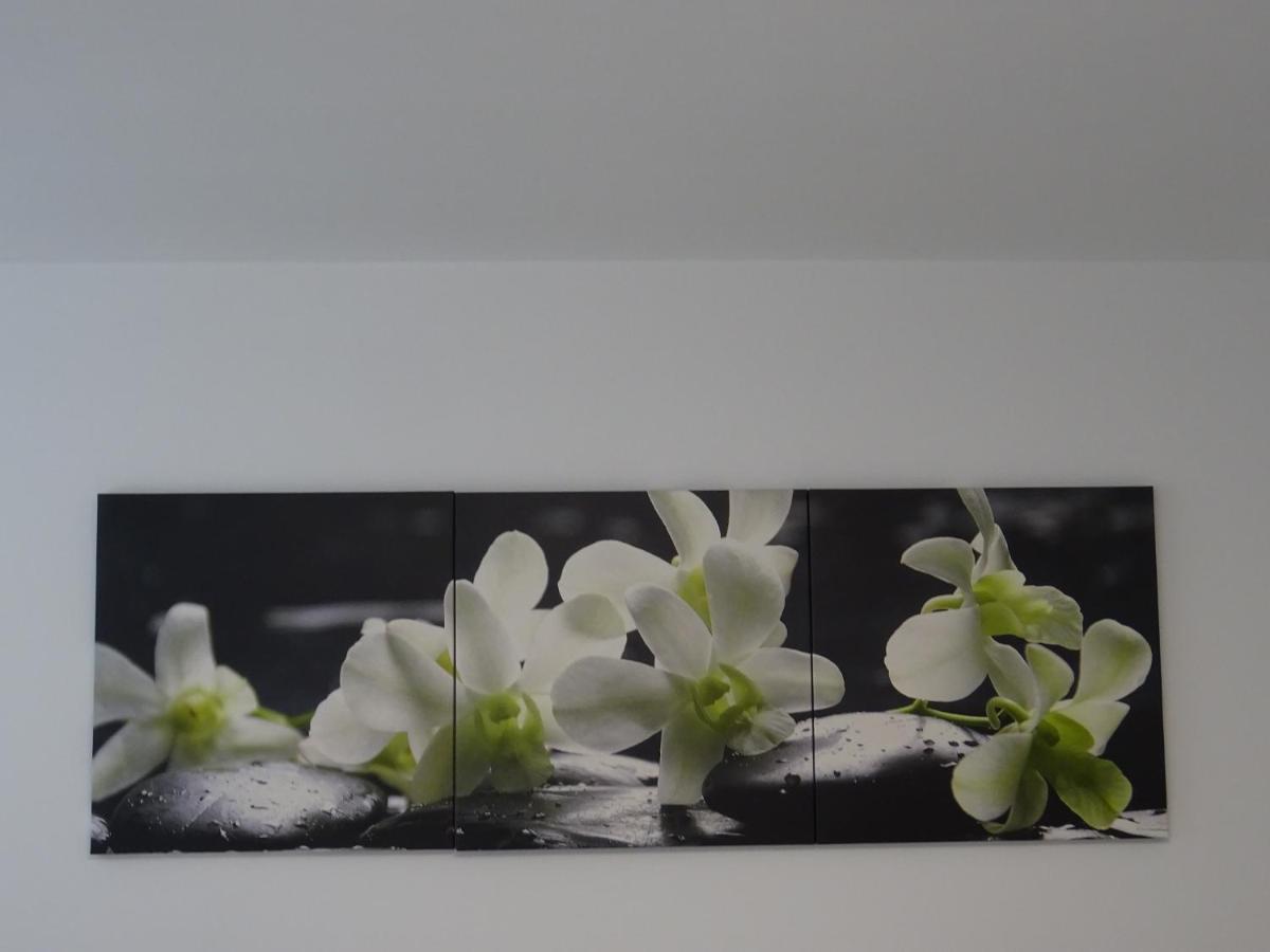 Ferienwohnung Happynes บัดนอยชตัดท์ อันแดร์ ซาเลอ ภายนอก รูปภาพ